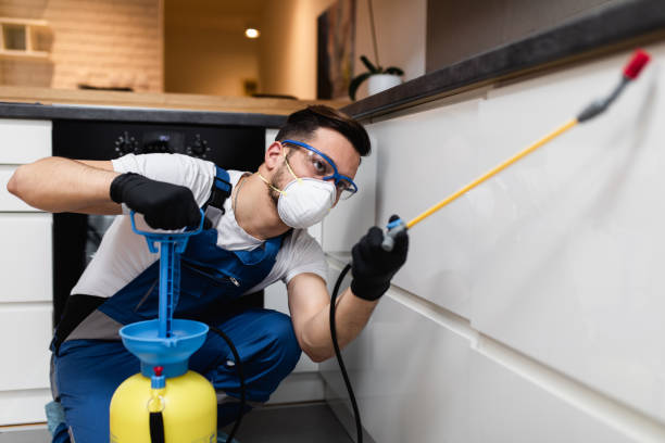 Best Exterminator Services  in Cloverly, MD