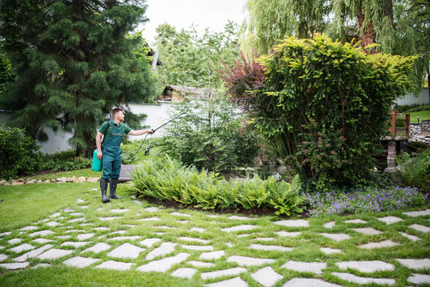 Best Best Pest Control Companies  in Cloverly, MD