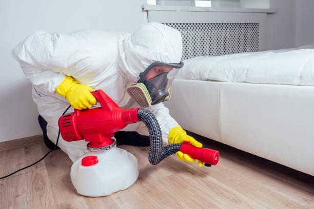 Best Emergency Pest Control  in Cloverly, MD