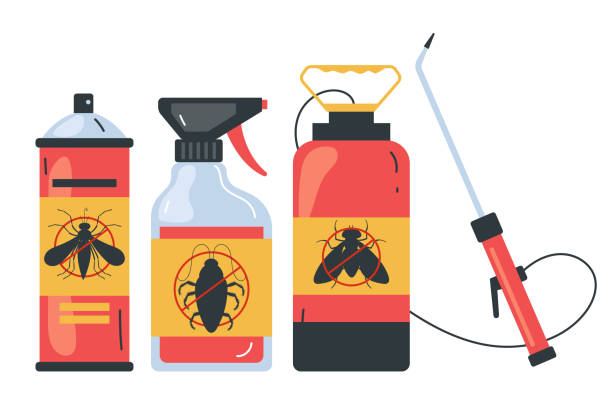 Best Termite Control Services  in Cloverly, MD
