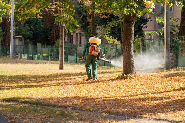 Best Pest Inspection Near Me  in Cloverly, MD