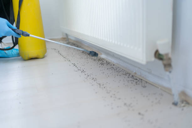 Best Pest Inspection Near Me  in Cloverly, MD